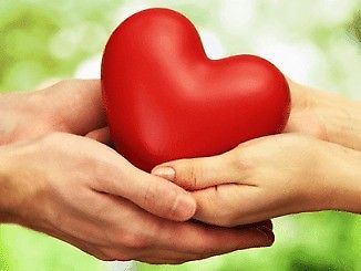 How To Contact Love  Specialist In Affordable Price